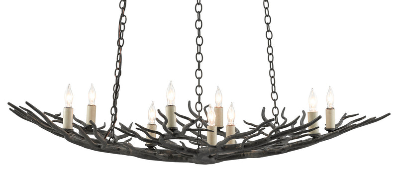 Currey and Company 9000-0555 Nine Light Chandelier, Rustic Bronze