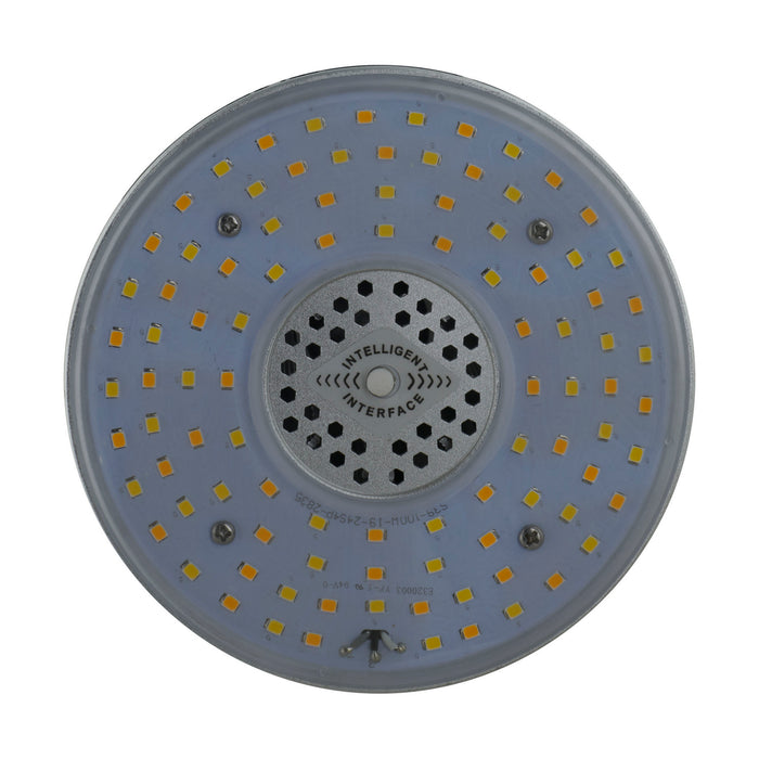 Satco S13143 Light Bulb, Clear