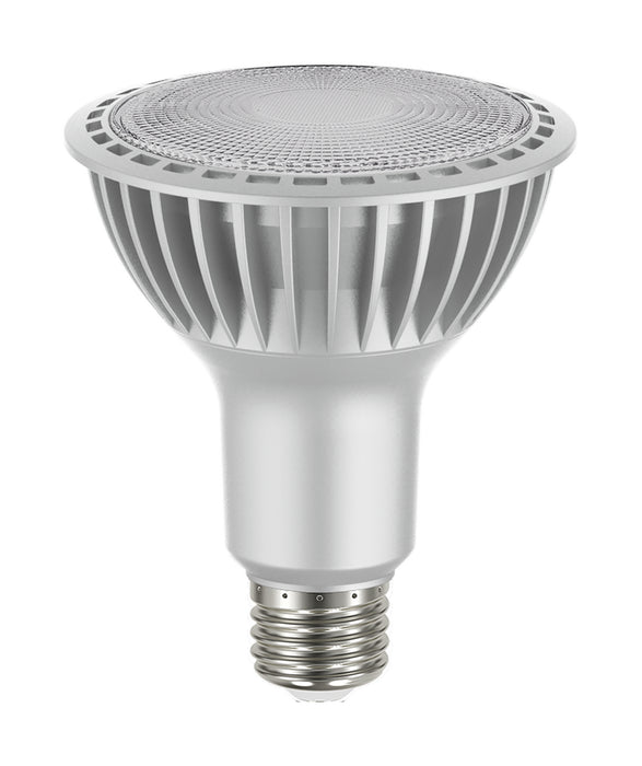 Satco S22241 Light Bulb, Silver
