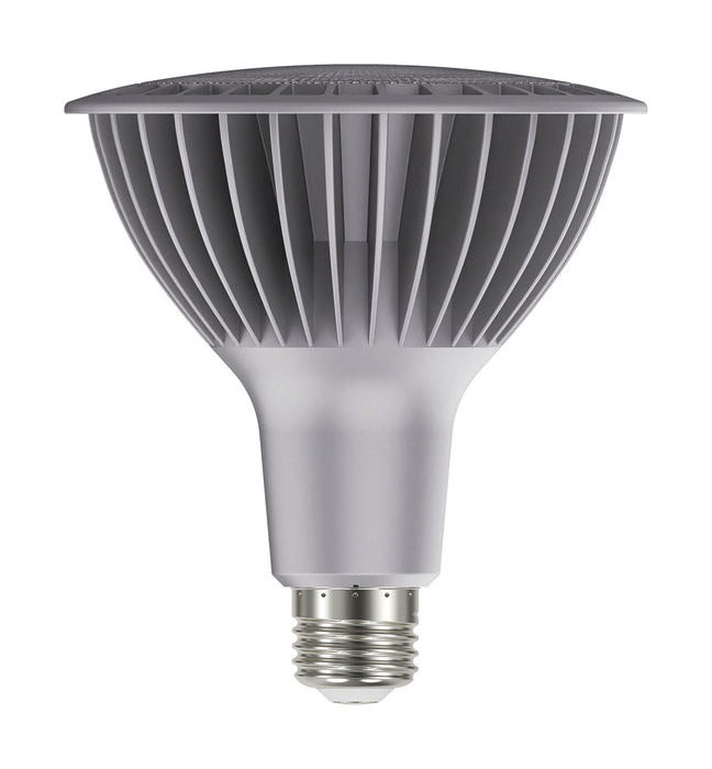 Satco S29760 Light Bulb, Silver