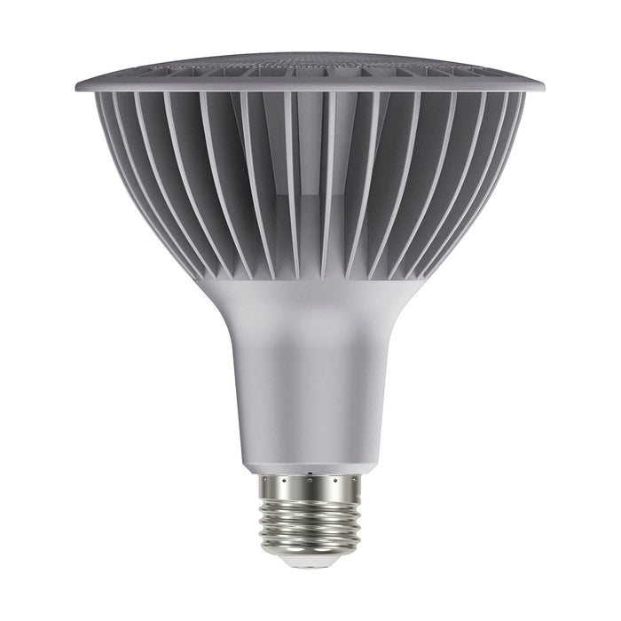 Satco S29761 Light Bulb, Silver