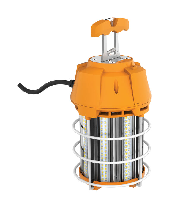 Satco S38946 LED Hi-Bay Caged Lamp, Frost