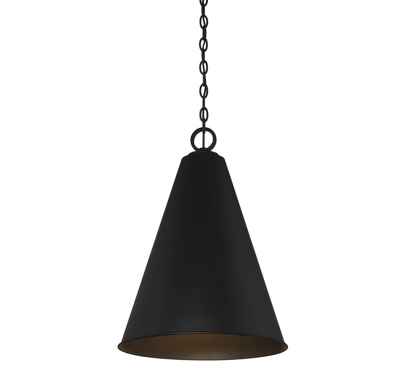Meridian M70112MBK One Light Pendant, Matte Black