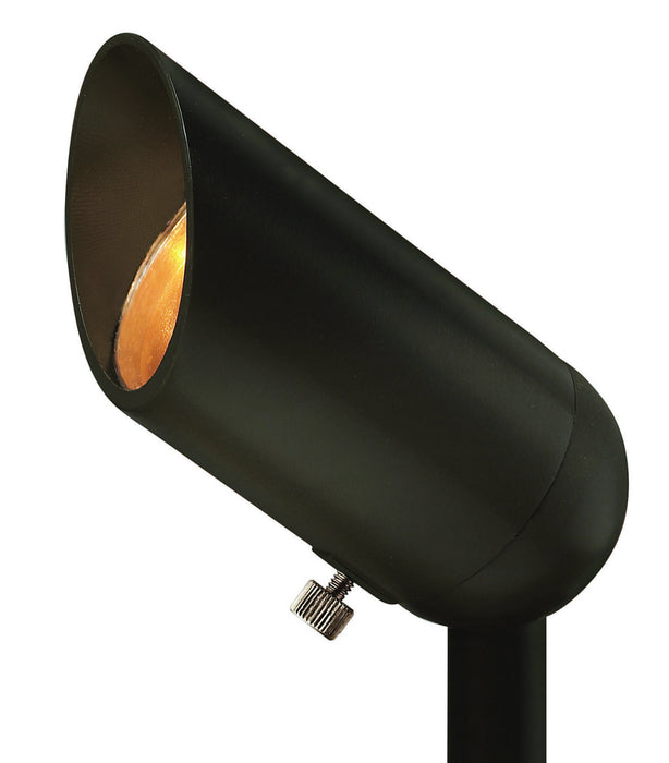 Hinkley 1536BZ LED Accent Spot, Bronze