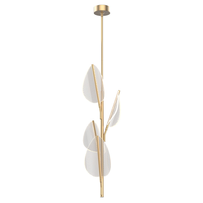 Alora PD321104NB LED Pendant, Natural Brass