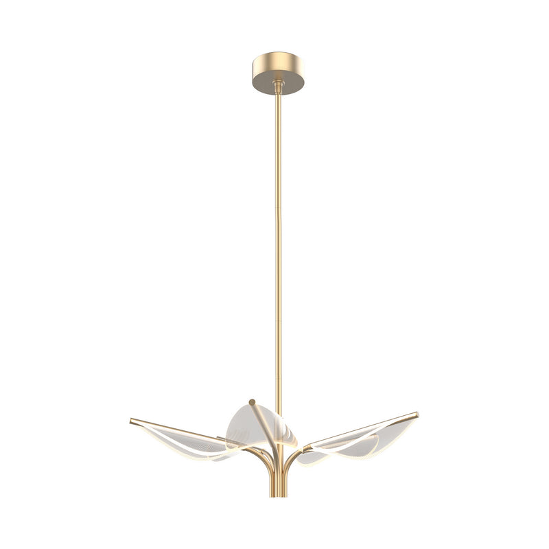 Alora PD321105NB LED Pendant, Natural Brass