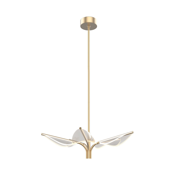 Alora PD321105NB LED Pendant, Natural Brass