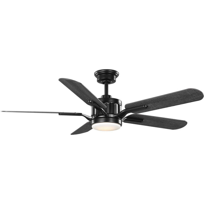 Progress Lighting P250007-031-30 54" Ceiling Fan, Matte Black