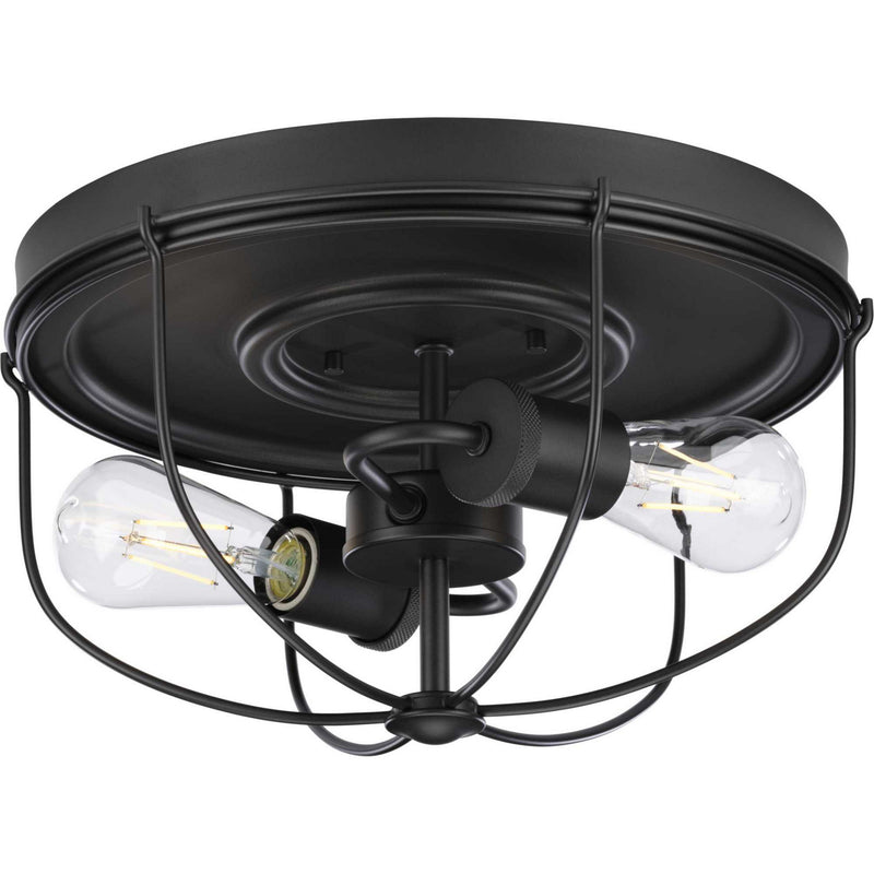 Progress Lighting P350195-143 Two Light Flush Mount, Graphite