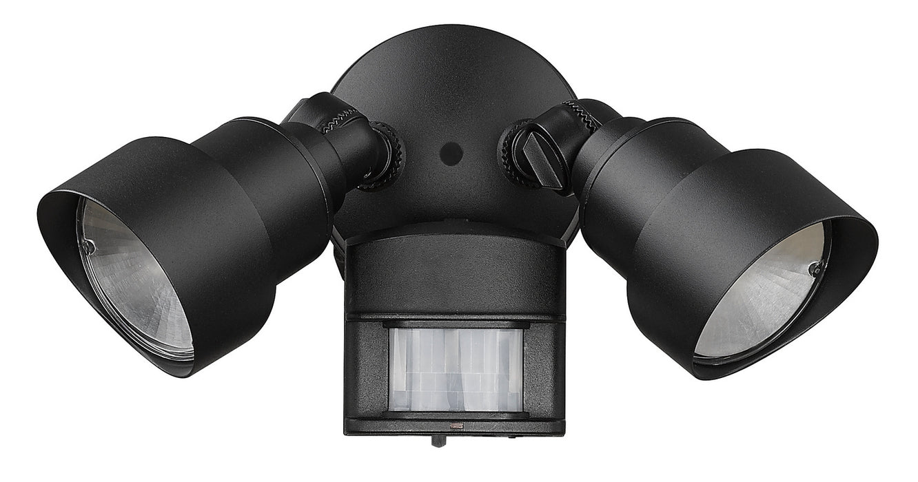 Acclaim Lighting LFL2BKM LED Floodlight, Matte Black