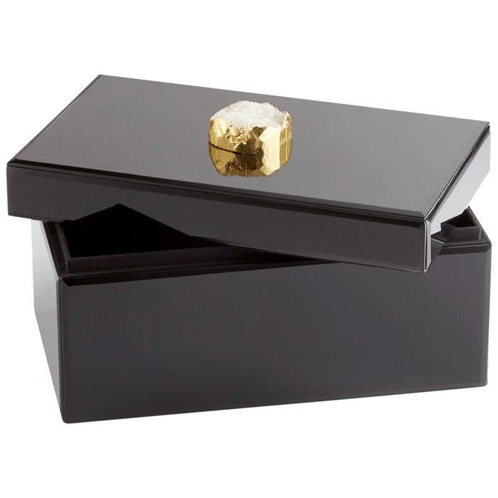 Cyan 10750 Container, Black