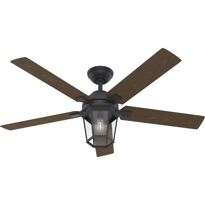 Hunter 50948 52" Ceiling Fan, Natural Black Iron