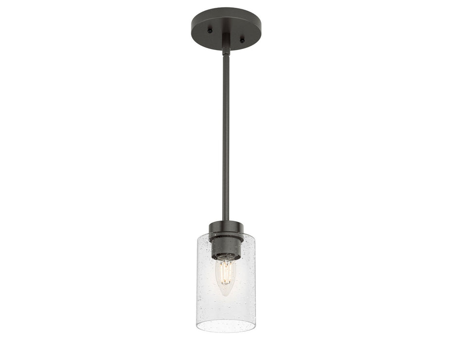 Hunter 19013 One Light Pendant, Noble Bronze