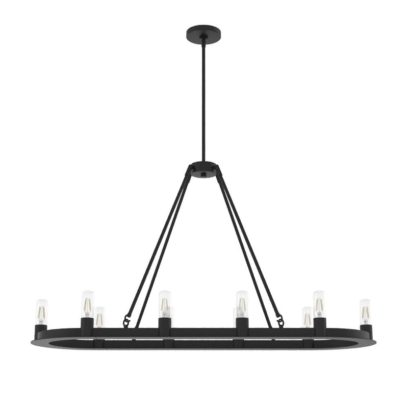 Hunter 19027 Ten Light Chandelier, Natural Black Iron