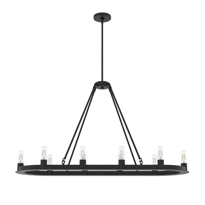 Hunter 19027 Ten Light Chandelier, Natural Black Iron