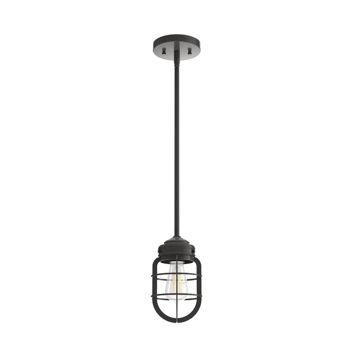 Hunter 19039 One Light Mini Pendant, Noble Bronze