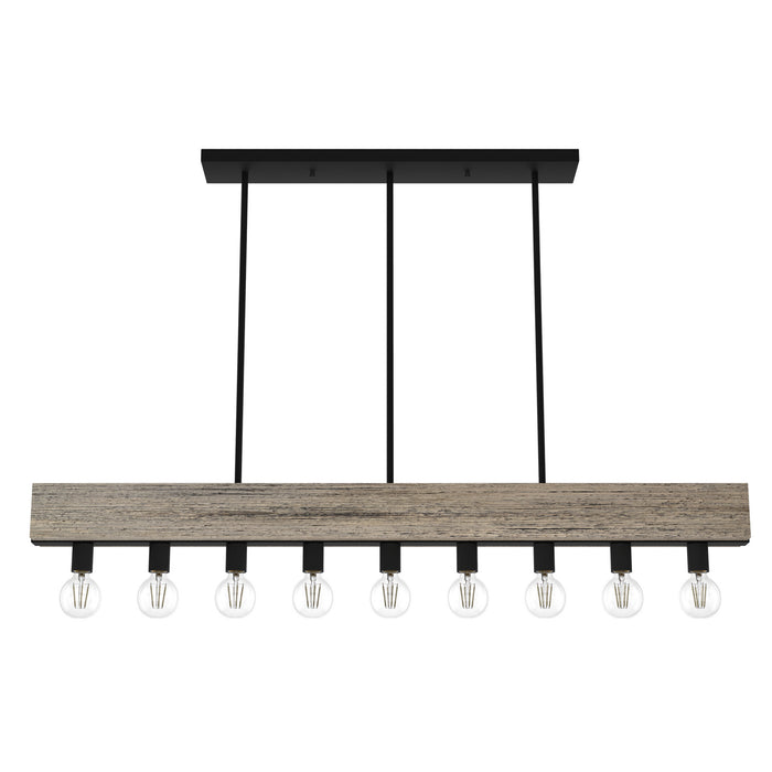 Hunter 19060 Nine Light Linear Chandelier, Rustic Iron