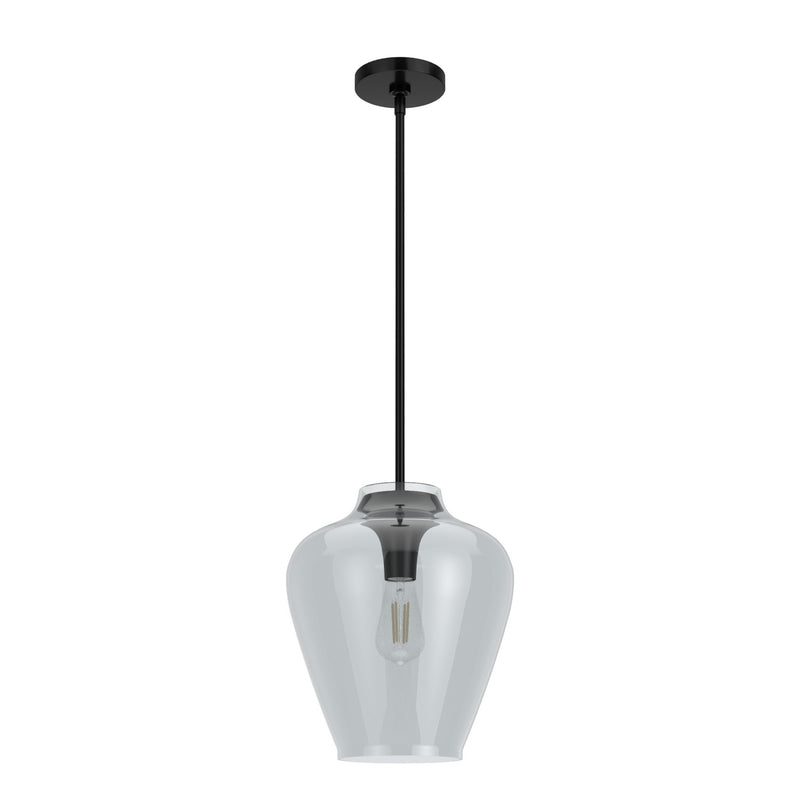 Hunter 19111 One Light Pendant, Matte Black