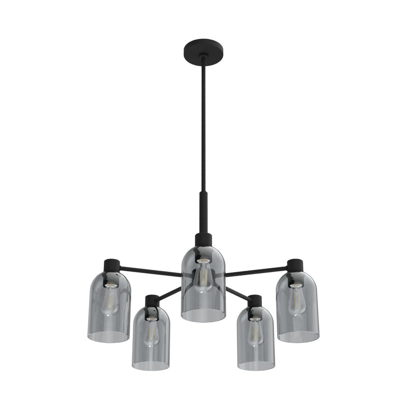 Hunter 19198 Five Light Chandelier, Natural Black Iron