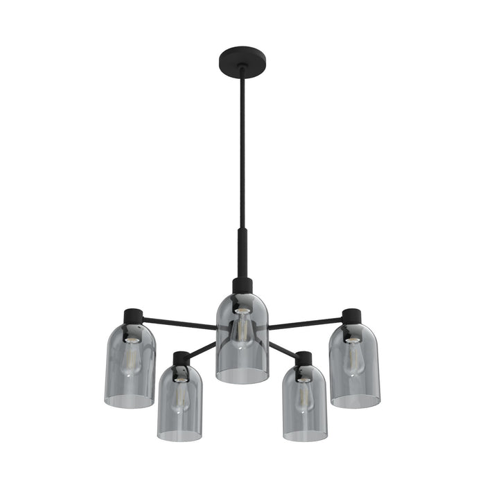 Hunter 19198 Five Light Chandelier, Natural Black Iron