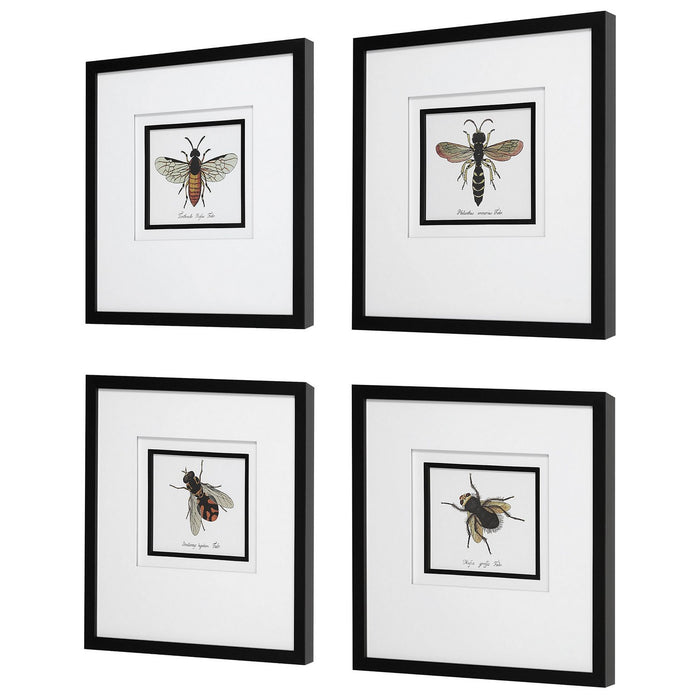 Uttermost 41428 Framed Prints, Black