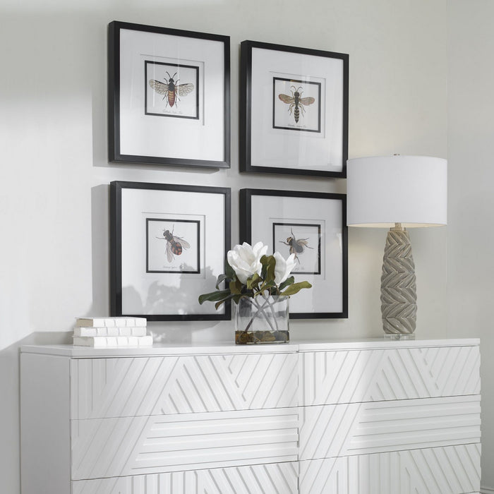Uttermost 41428 Framed Prints, Black