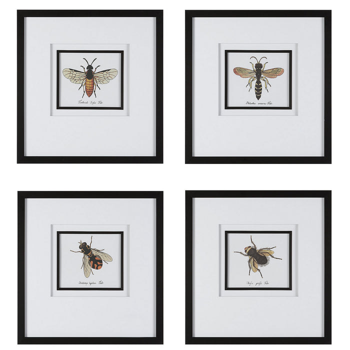 Uttermost 41428 Framed Prints, Black