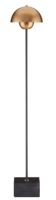 Currey and Company 8000-0095 One Light Floor Lamp, Brushed Brass/Black