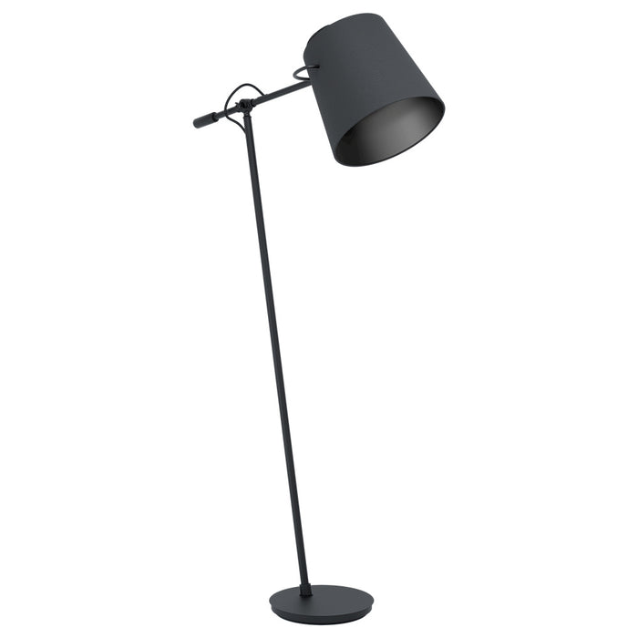 Eglo USA 39867A One Light Floor Lamp, Black