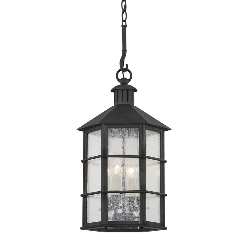 Troy Lighting F2526-FRN Four Light Outdoor Lantern, French Iron