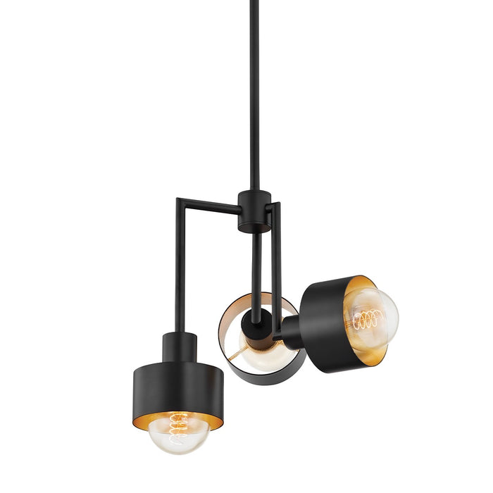 Troy Lighting F8716-SBK/GL Three Light Pendant