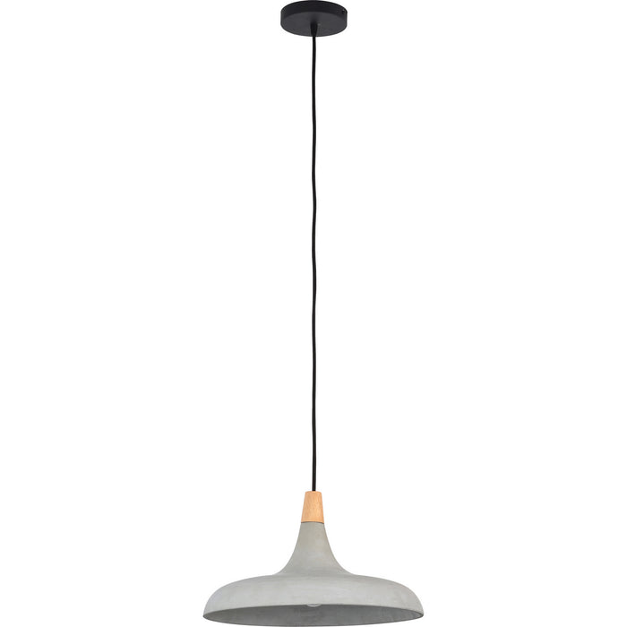 Renwil LPC4331 Pendants - Metal Shade