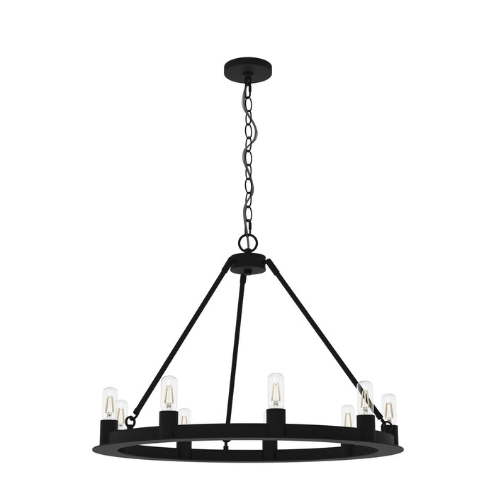 Hunter 19030 Nine Light Chandelier, Natural Black Iron