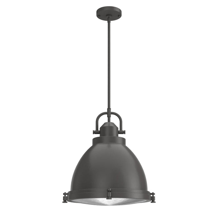Hunter 19100 Three Light Pendant, Noble Bronze