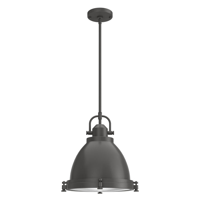 Hunter 19103 Two Light Pendant, Noble Bronze
