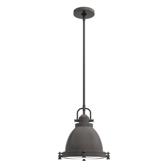 Hunter 19106 One Light Pendant, Noble Bronze
