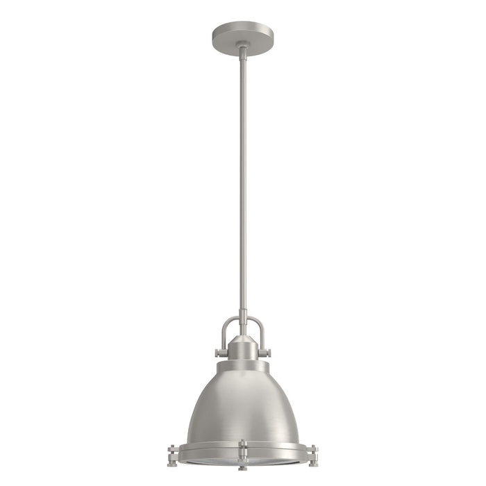 Hunter 19107 One Light Pendant, Brushed Nickel