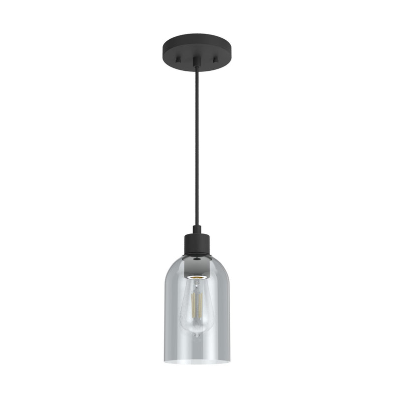 Hunter 19201 One Light Pendant, Natural Black Iron