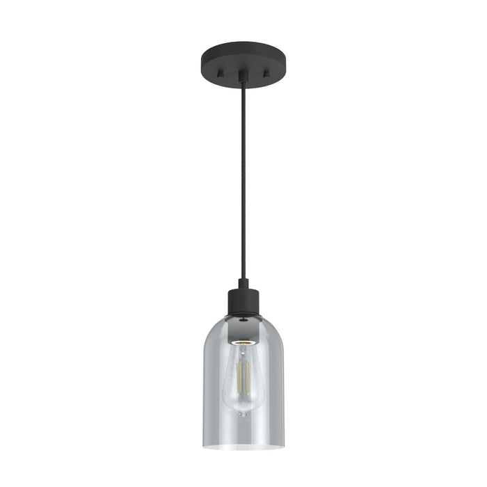 Hunter 19201 One Light Pendant, Natural Black Iron