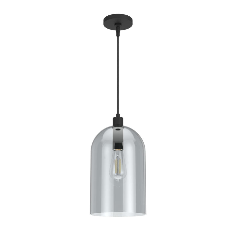Hunter 19204 One Light Pendant, Natural Black Iron