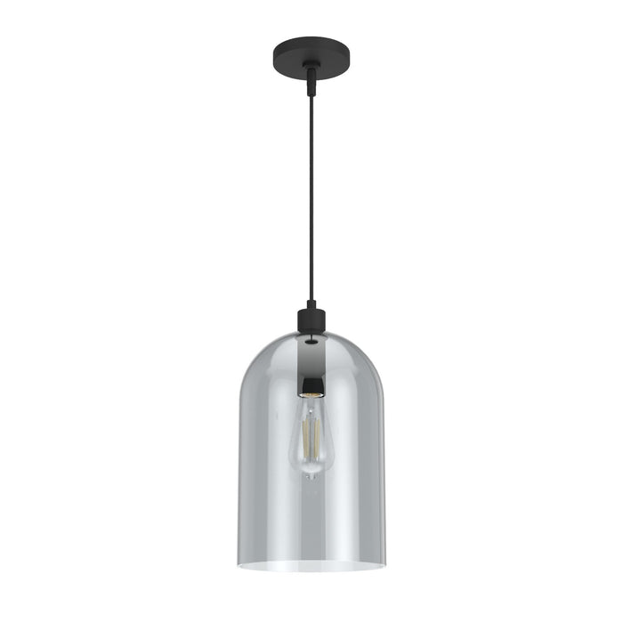 Hunter 19204 One Light Pendant, Natural Black Iron