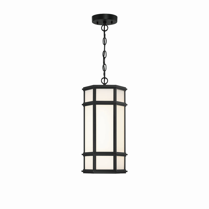 Eurofase 42691-013 LED Outdoor Pendant, Satin Black