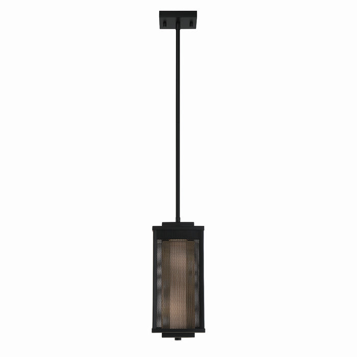Eurofase 42718-017 LED Outdoor Pendant, Black/Gold