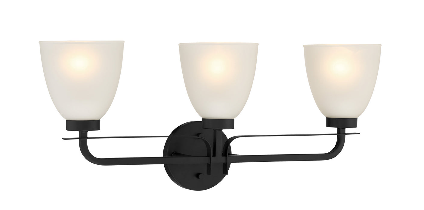 Minka-Lavery 2883-66A Three Light Bath, Coal