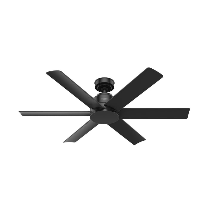 Hunter 51180 52" Ceiling Fan, Matte Black