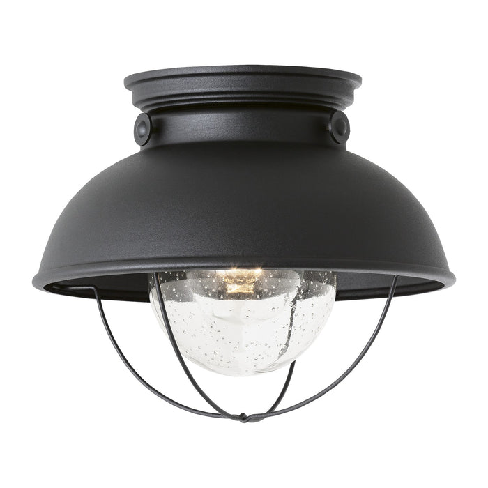 Generation Lighting 8869EN3-12 One Light Outdoor Flush Mount, Black
