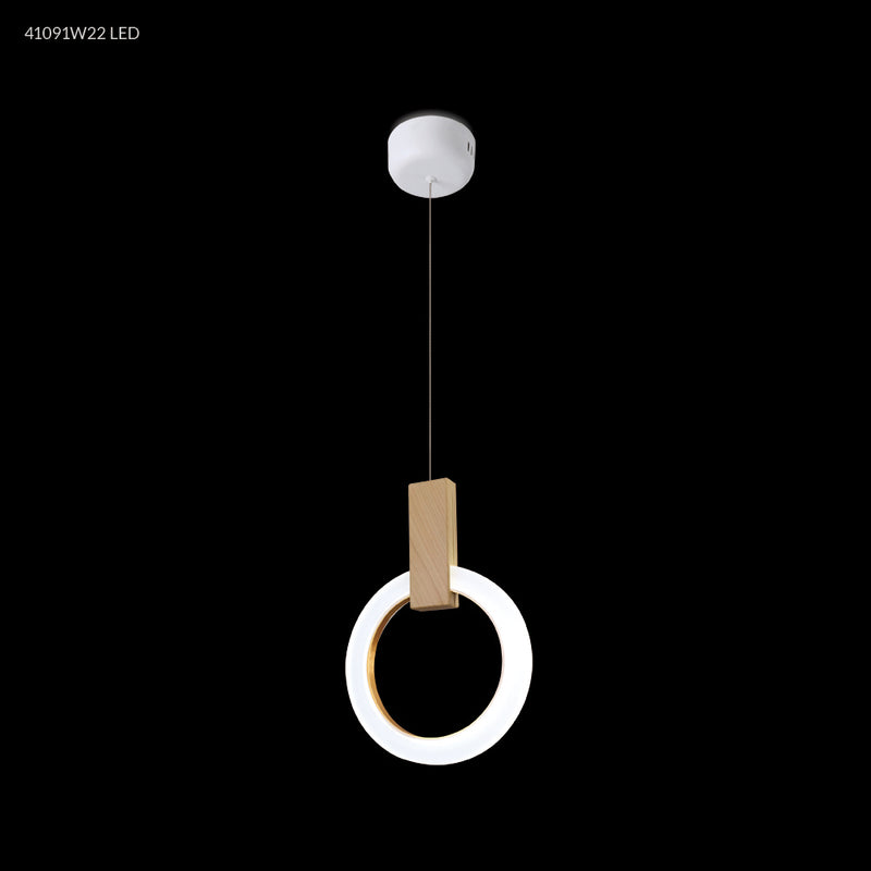 James R. Moder 41091W22LED LED Chandelier, White