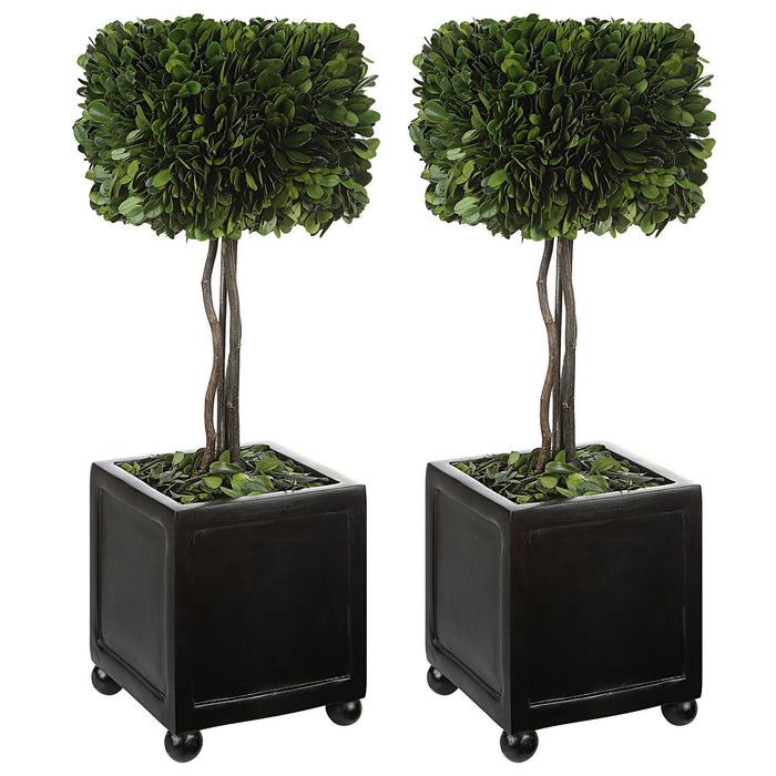 Uttermost 60187 Topiaries, S/2, Satin Black