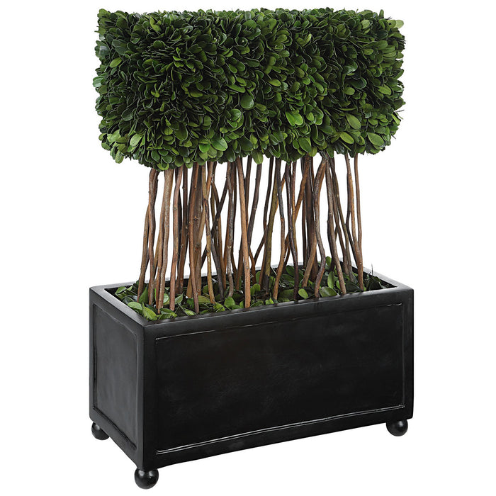 Uttermost 60188 Topiary, Satin Black