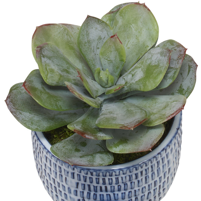 Uttermost 60192 Artificial Flower, White Ceramic